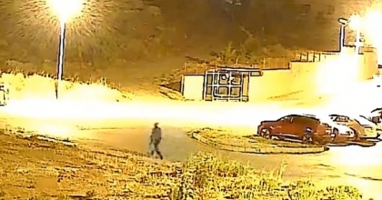 1 METRELİK ÇAM AĞAÇLARINI SÖKEREK GÖTÜRDÜ