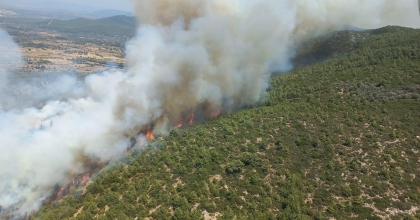 BODRUM'DA ORMANLIK ALANDA YANGIN ÇIKTI