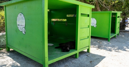 ÖĞRENCİLER SOKAK HAYVANLARI İÇİN MOBİLYA TASARLADI