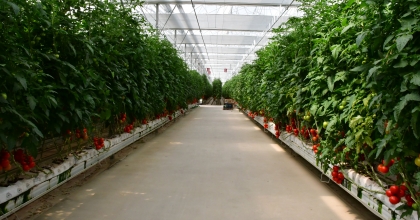 BÜYÜKŞEHİRDEN JEOTERMAL SERAYA CAN SUYU   