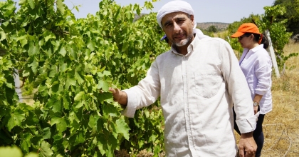 YUNUSEMRE’DE ORGANİK BAĞCILIK PROJESİNE DESTEK SÜRÜYOR