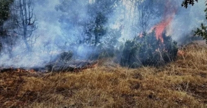 ELEKTRİK DİREĞİNE DÜŞEN YILDIRIM ANIZ YANGININA NEDEN OLDU   