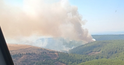 MENDERES'TEKİ ORMAN YANGINI KONTROL ALTINDA   