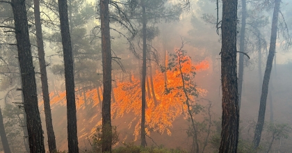 DENİZLİ EKİBİ GEDİZ’DEKİ YANGINA KOŞTU
