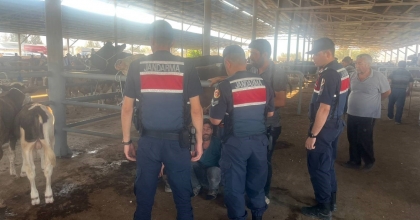 ÇİNE'DE HIRSIZLIK VE DOLANDIRICILIĞA KARŞI SIKI DENETİM   