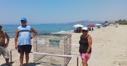 CARETTA YUVALARI ÇOĞALIYOR