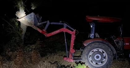 AĞAÇTAN DÜŞEN ESKİ MUHTAR HAYATINI KAYBETTİ