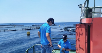 SÖKE'DE BALIK ÇİFTLİKLERİ DENETLENDİ