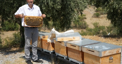 MANİSA’DA AŞIRI SICAKLAR BAL ÜRETİMİNİ ETKİLEDİ
