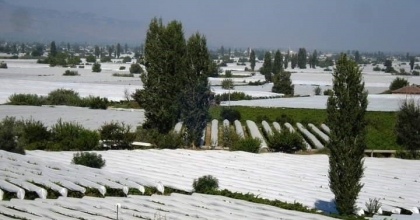 SARIGÖL'ÜN YEŞİL OVASI BEYAZA BÜRÜNDÜ