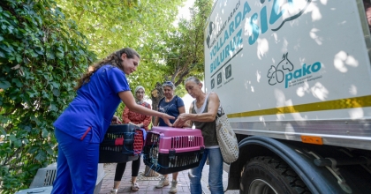 İZMİR BÜYÜKŞEHİR, KISIRLAŞTIRMA ÇALIŞMALARINA HIZ VERDİ