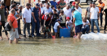 MUĞLA’DAKİ BARAJ VE GÖLETLERE 370 BİN SAZAN YAVRUSU BIRAKILDI