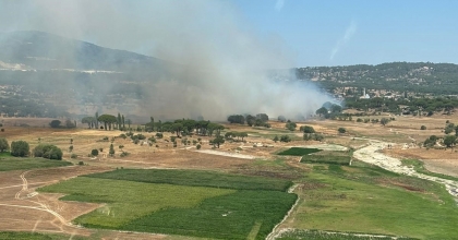 MİLAS'TA İKİNCİ ORMAN YANGINI
