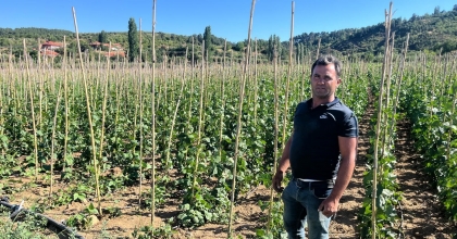 FASULYEDE YÜKSEK VERİM YÜZLERİ GÜLDÜRDÜ  