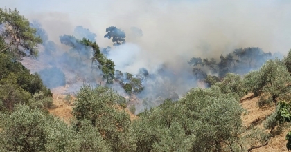 AYDIN'DAKİ YANGIN KONTROL ALTINA ALINDI  