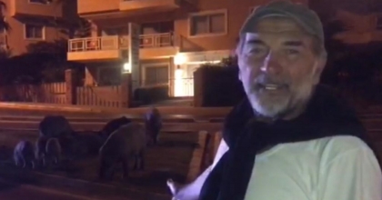 ÜNLÜ OYUNCUDAN KUŞADASI'NDA DOMUZ PAYLAŞIMI