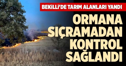 BEKİLLİ'DE TARIM ALANLARI YANDI