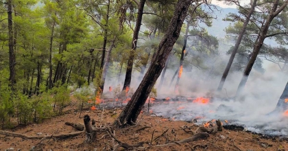 CEHENNEM DERESİNDEKİ YANGIN BÜYÜMEDEN SÖNDÜRÜLDÜ