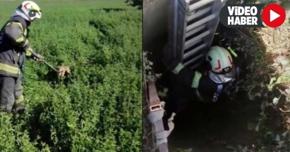 ÇİVRİL’DE KUYUYA DÜŞEN YAVRU TİLKİ KURTARILDI  