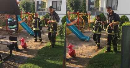 ÇOCUK PARKINDA YILAN PANİĞİ