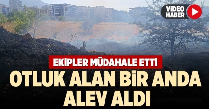 DENİZLİ'DE OTLUK ALAN BİR ANDA ALEV ALDI