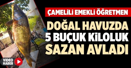 DOĞAL HAVUZDA 5 BUÇUK KİLOLUK SAZAN AVLADI   