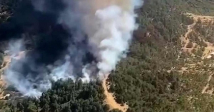 İZMİR ÖDEMİŞ'TE ÇIKAN ORMAN YANGINI KONTROL ALTINA ALINDI  
