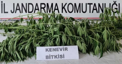 JANDARMADAN UYUŞTURUCU OPERASYONU