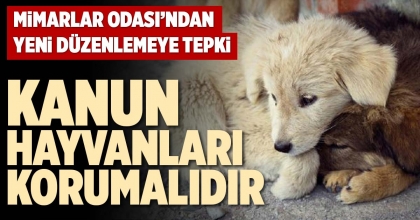 KANUN HAYVANLARI KORUMALIDIR