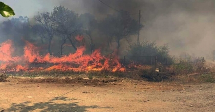 KARPUZLU’DA TARIM ARAZİSİNDE YANGIN ÇIKTI