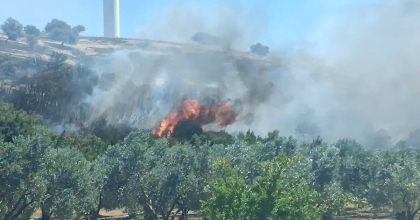 KAYMAKAMDAN ORMAN YANGINLARINA KARŞI UYARI  