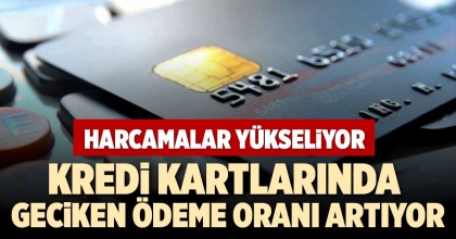 KREDİ KARTLARINDA GECİKEN ÖDEME ORANI ARTIYOR