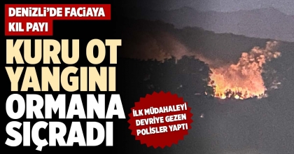 KURU OT YANGINI ORMANA SIÇRADI