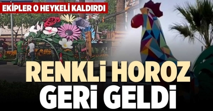 RENKLİ HOROZ GERİ GELDİ