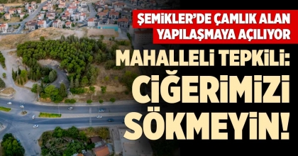 ŞEMİKLER’DE ÇAMLIK ALAN YAPILAŞMAYA AÇILIYOR