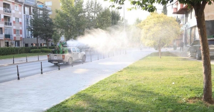 ŞİKÂYETLER ARTMIŞTI, İLAÇLAMA EKİPLERİ GÖREV BAŞINDA