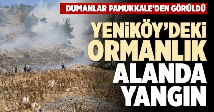 YENİKÖY’DEKİ ORMANLIK ALANDA YANGIN