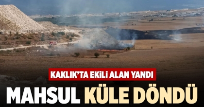 KAKLIK’TA EKİLİ ALAN YANDI