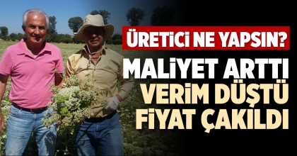 MALİYET ARTTI, VERİM DÜŞTÜ, FİYAT ÇAKILDI