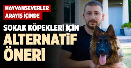 SOKAK KÖPEKLERİ İÇİN ALTERNATİF ÖNERİ