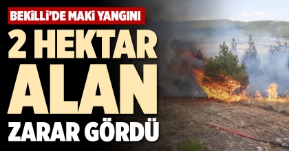 2 HEKTAR ALAN ZARAR GÖRDÜ