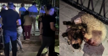 TOPLU MEZAR BULUNDU, BELEDİYEYİ BASTILAR