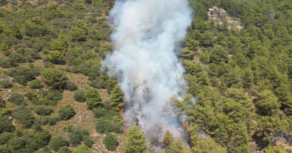 FETHİYE'DEKİ ORMAN YANGINI KONTROL ALTINA ALINDI