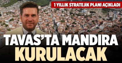 TAVAS’TA MANDIRA KURULACAK