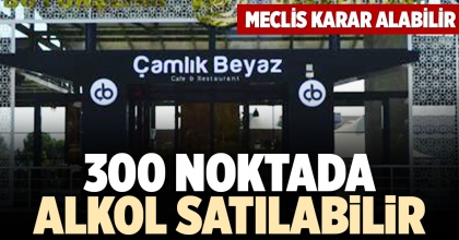 300 NOKTADA ALKOL SATILABİLİR