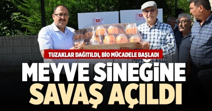 MEYVE SİNEĞİNE SAVAŞ AÇILDI