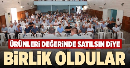 BİRLİK OLDULAR