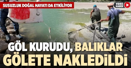 GÖL KURUDU, BALIKLAR GÖLETE NAKLEDİLDİ