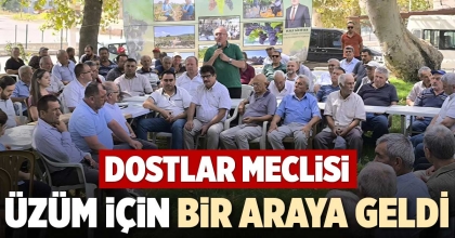 DOSTLAR MECLİSİ ÜZÜM İÇİN BİR ARAYA GELDİ