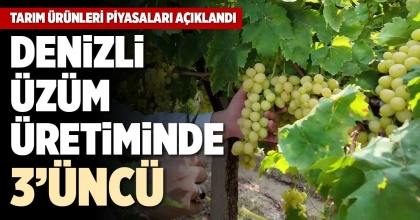 DENİZLİ, ÜZÜM ÜRETİMİNDE 3’ÜNCÜ